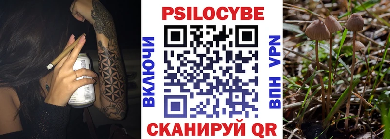 Галлюциногенные грибы прущие грибы  Купить закладки  Моздок 